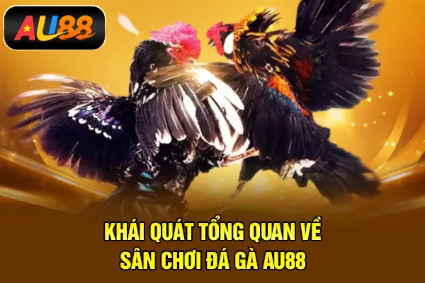 Đá Gà AU88 – Trải Nghiệm Theo Dõi Và Dự Đoán Kịch Tính Khái quát tổng quan về sân chơi đá gà AU88