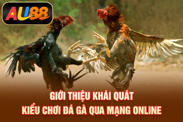 Giới thiệu khái quát kiểu chơi đá gà qua mạng online