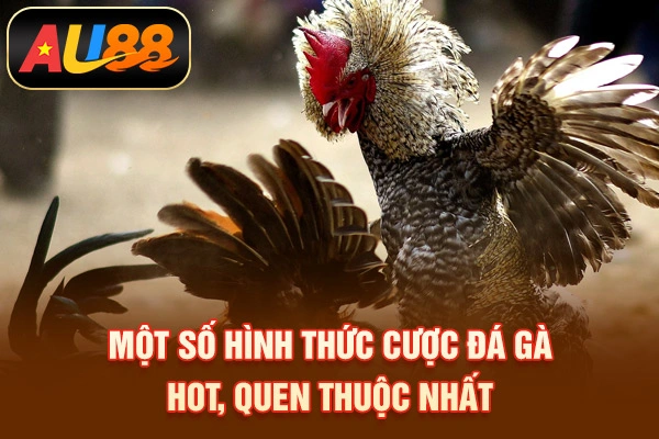 Trực Tiếp Đá Gà C1 Là Gì? Cách Chơi, Đặt Cược Đúng Một số hình thức cược đá gà hot, quen thuộc nhất